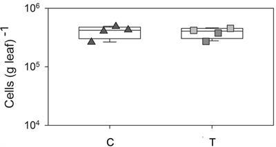 Long-Term Warming Shifts the Composition of Bacterial Communities in the Phyllosphere of Galium album in a Permanent Grassland Field-Experiment